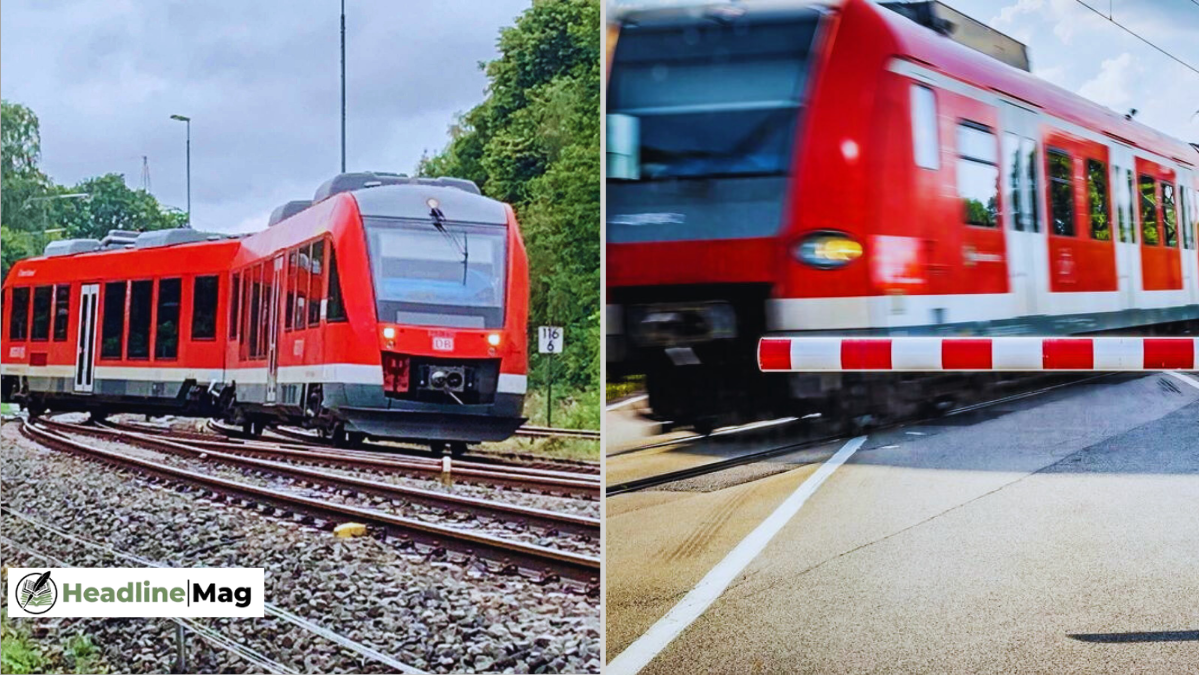 zug entgleist herzberg