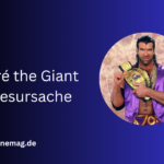 André the Giant Todesursache